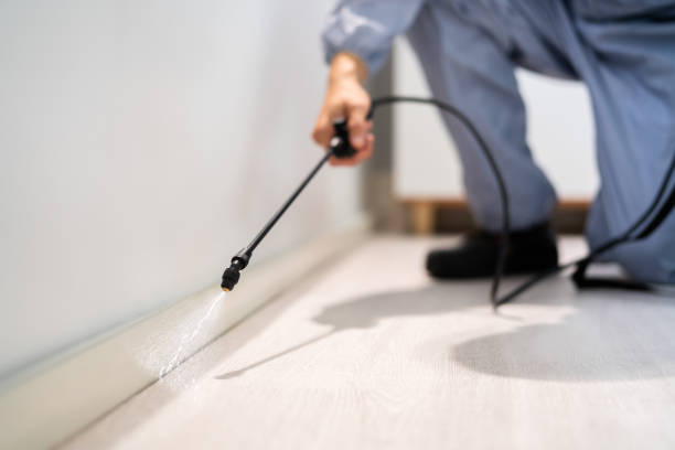 Bed Bug Pre-Treatment Preparation Assessment in Kalida