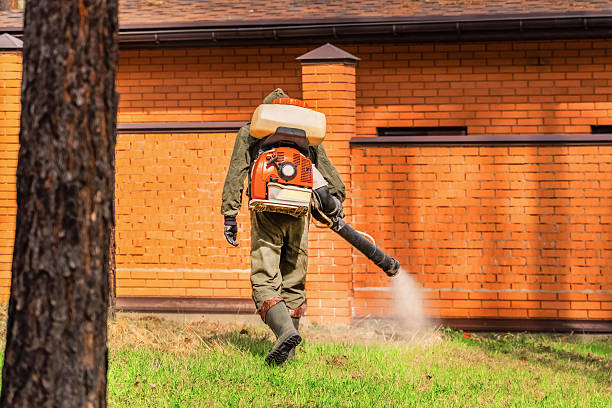 Bed Bug Clearance Verification and Documentation in Kalida